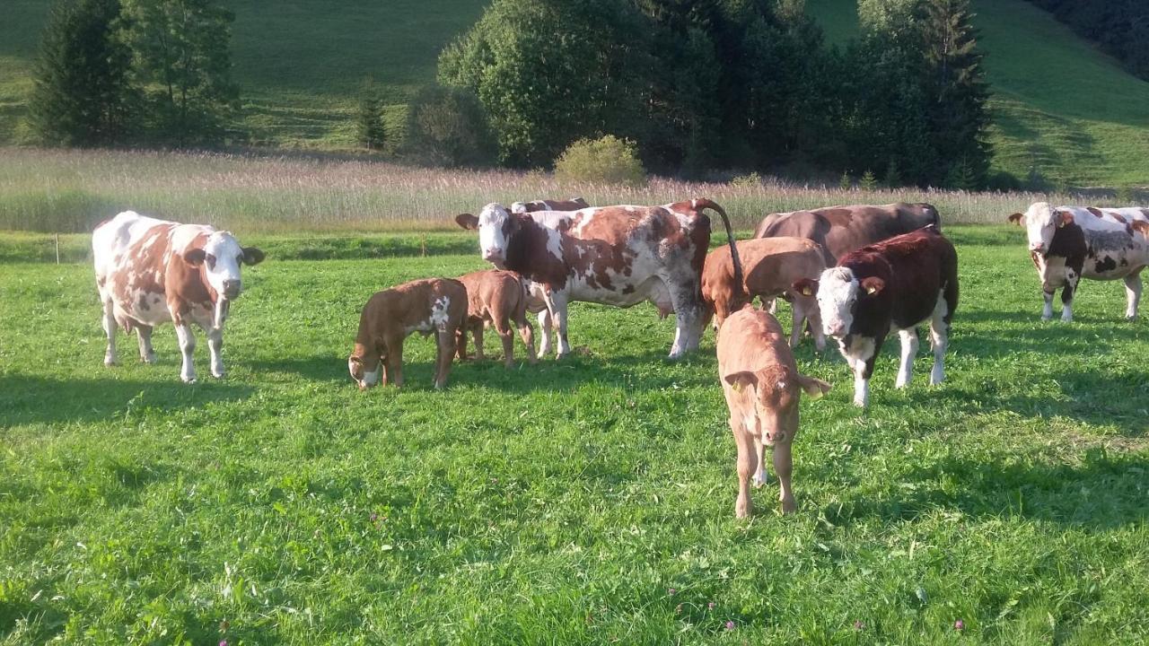 Ferienhof Ammann Bad Hindelang Eksteriør bilde